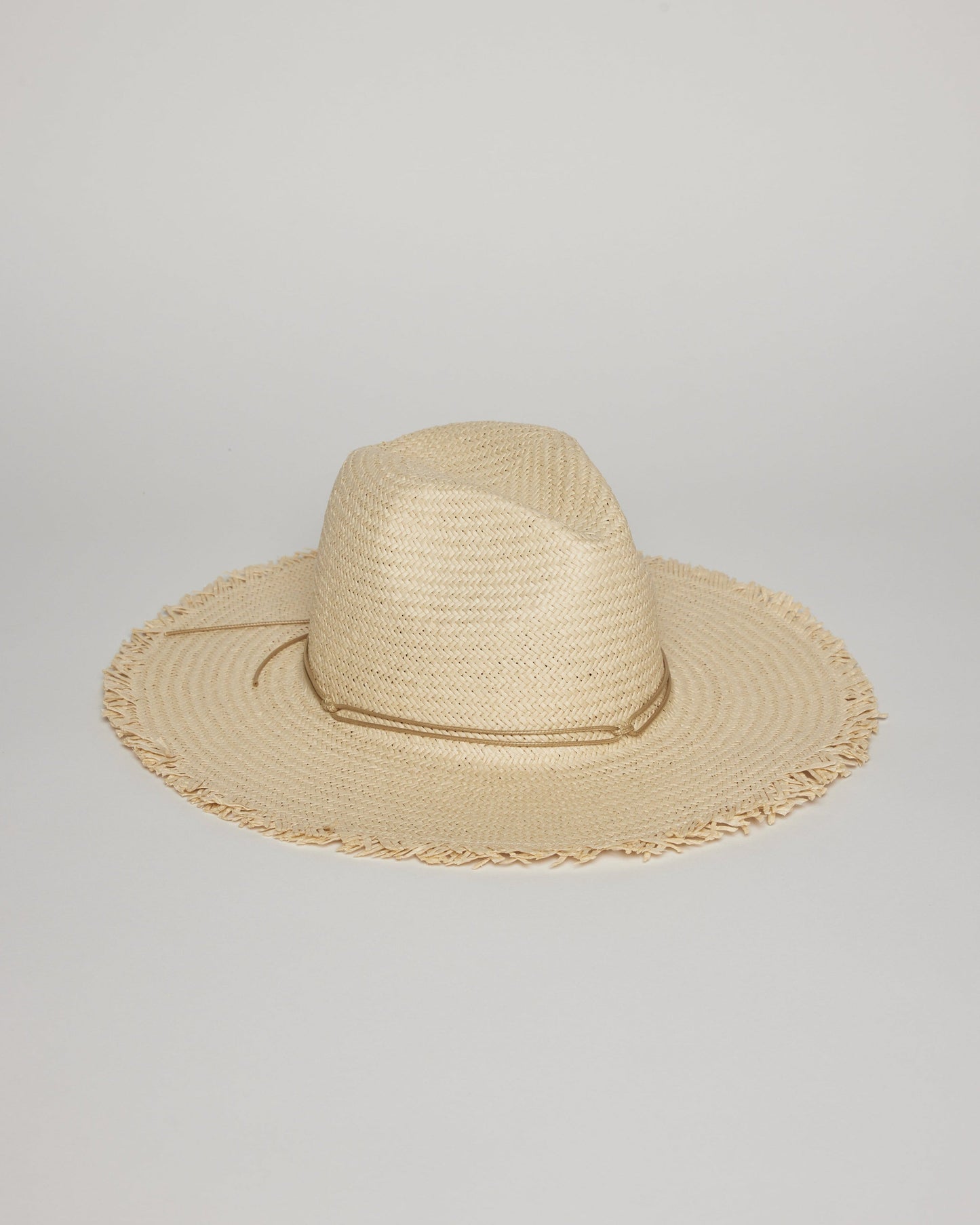 Fringed Traveler Continental