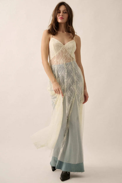 Whisper to Me Sheer Floral Lace Pleated Maxi Dress