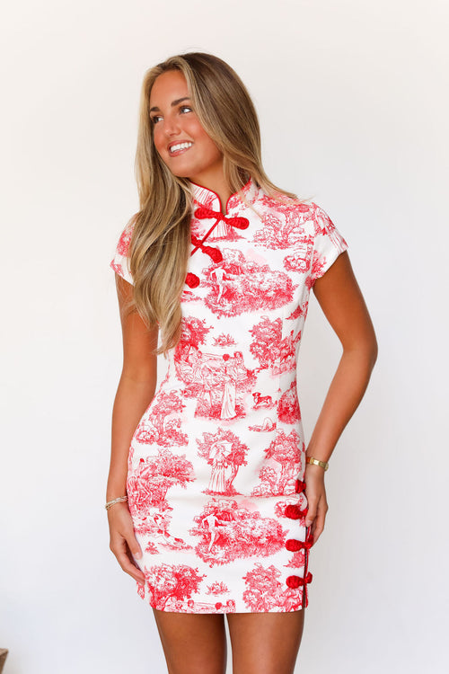 Abby Mini Dress - Cherry